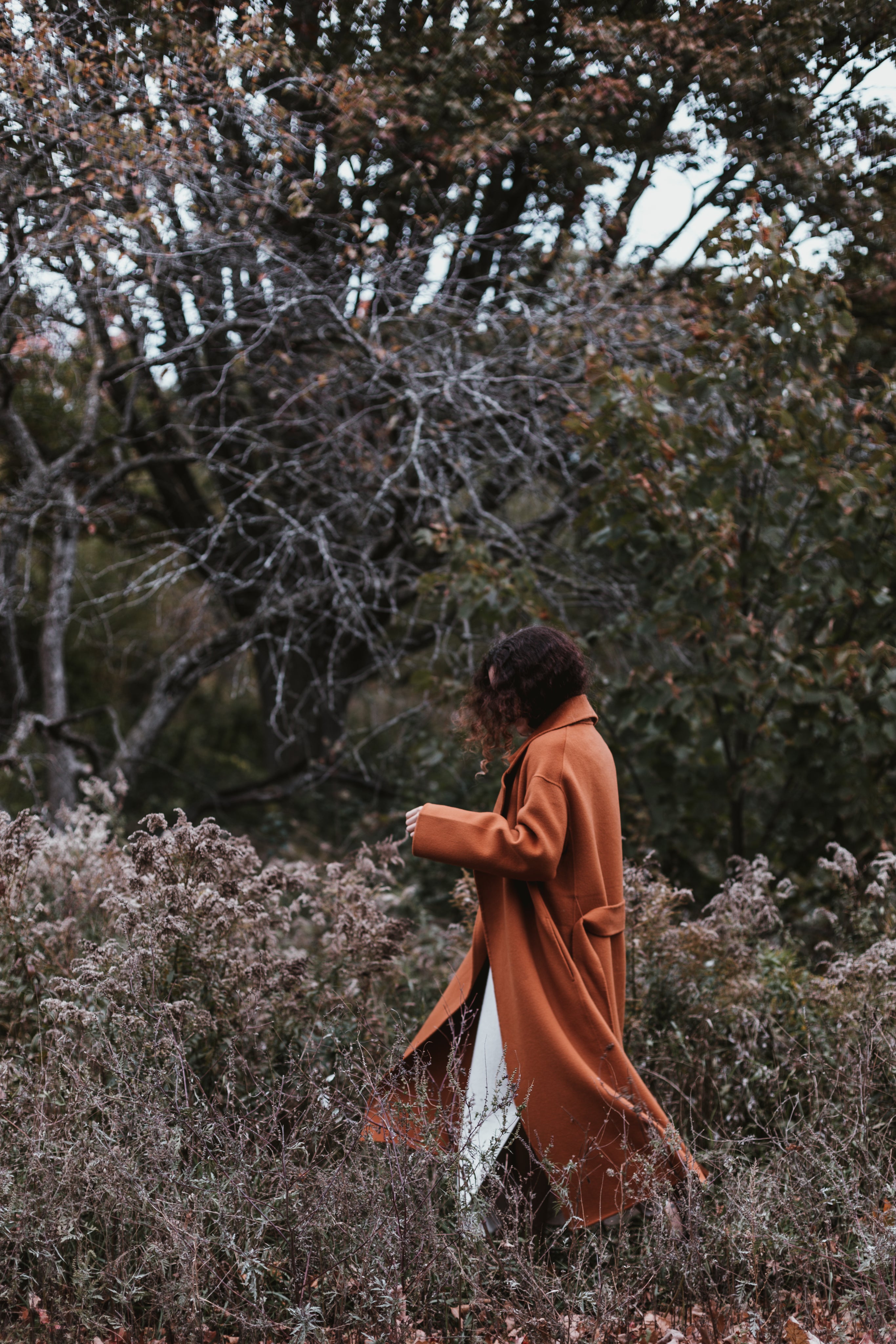 Lily M.